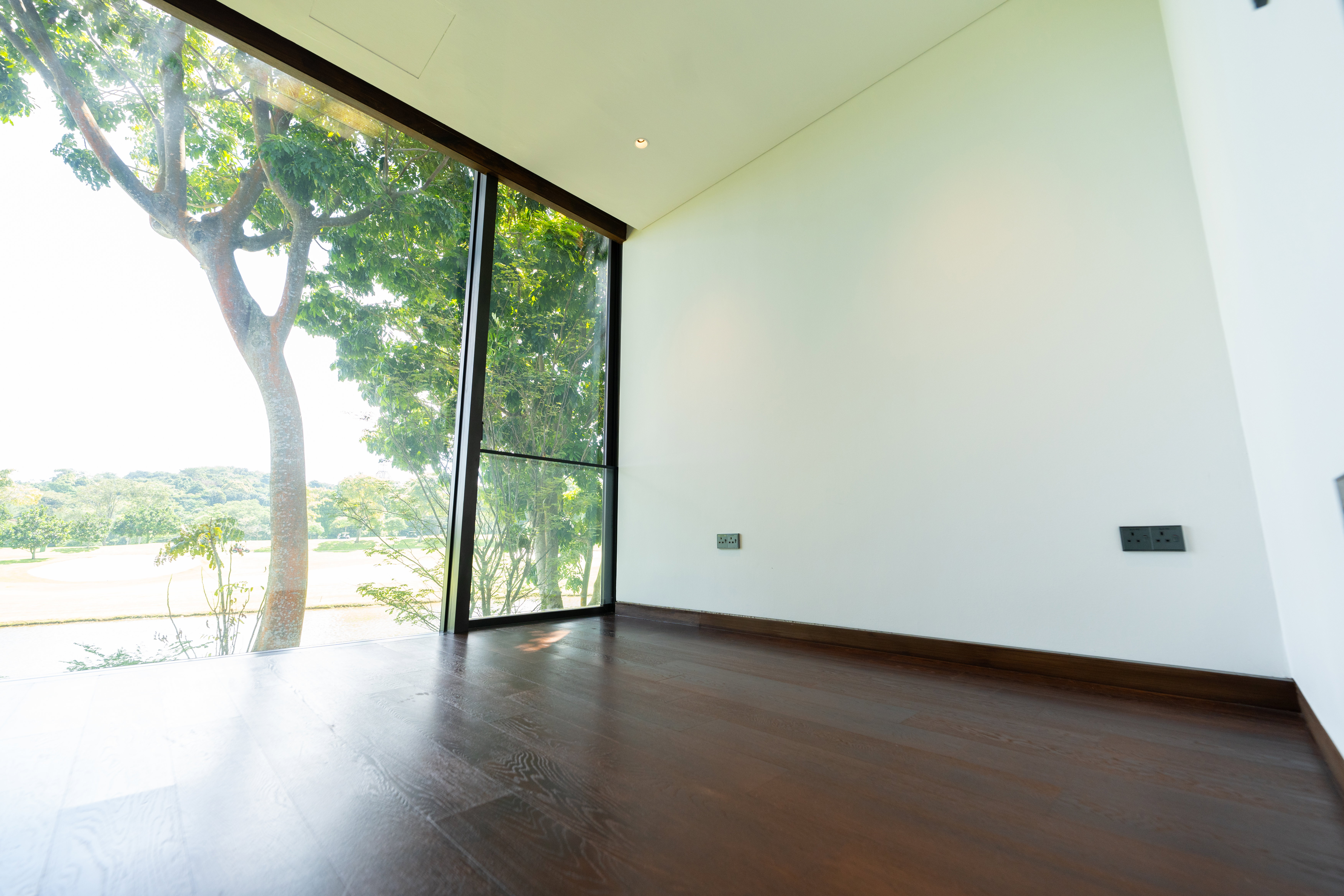 The Green Collection Gallery Image 37